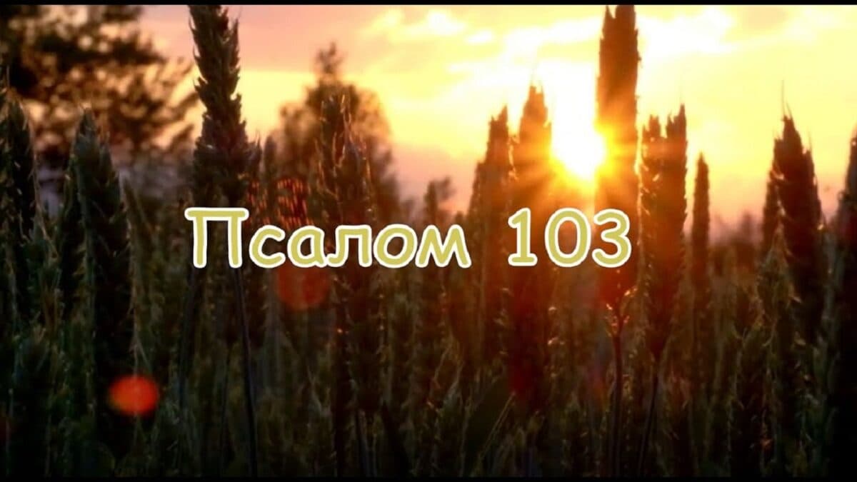 Псалом 103