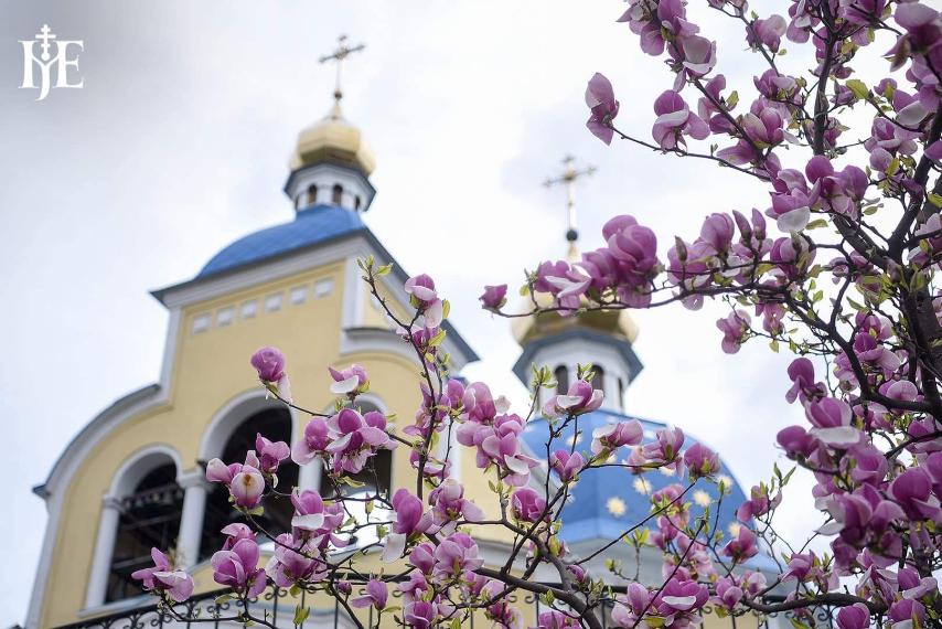 Митрополит Епіфаній: запрошення до співпраці з природою та духовним здоров’ям