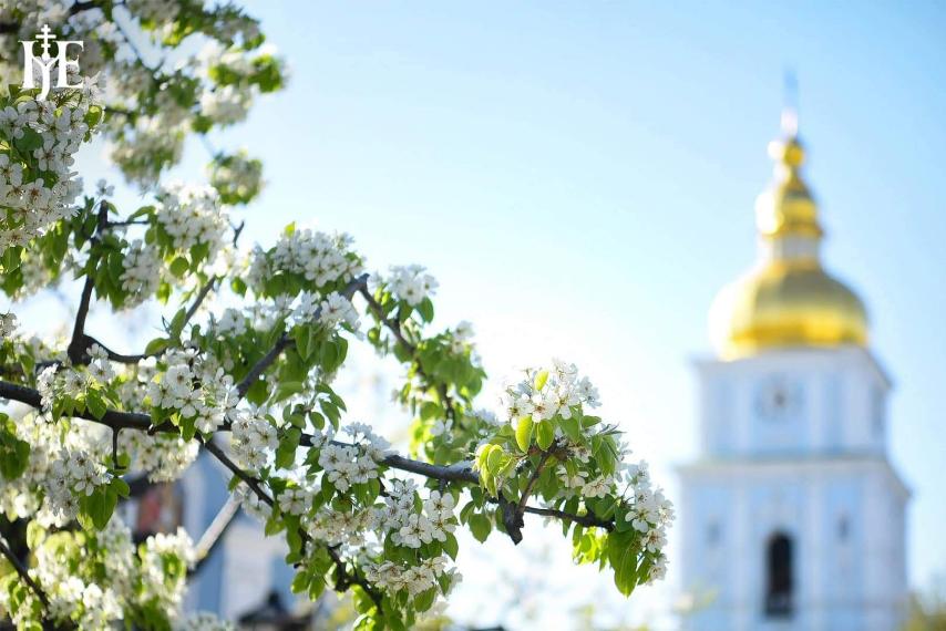 Надія на Господа: міць віри у співвідношенні з непевністю світу